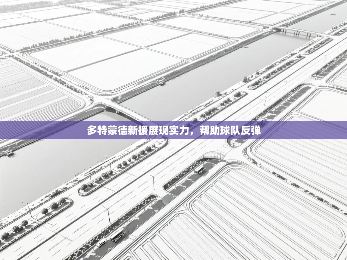 多特蒙德新援展现实力,帮助球队反弹 第1张