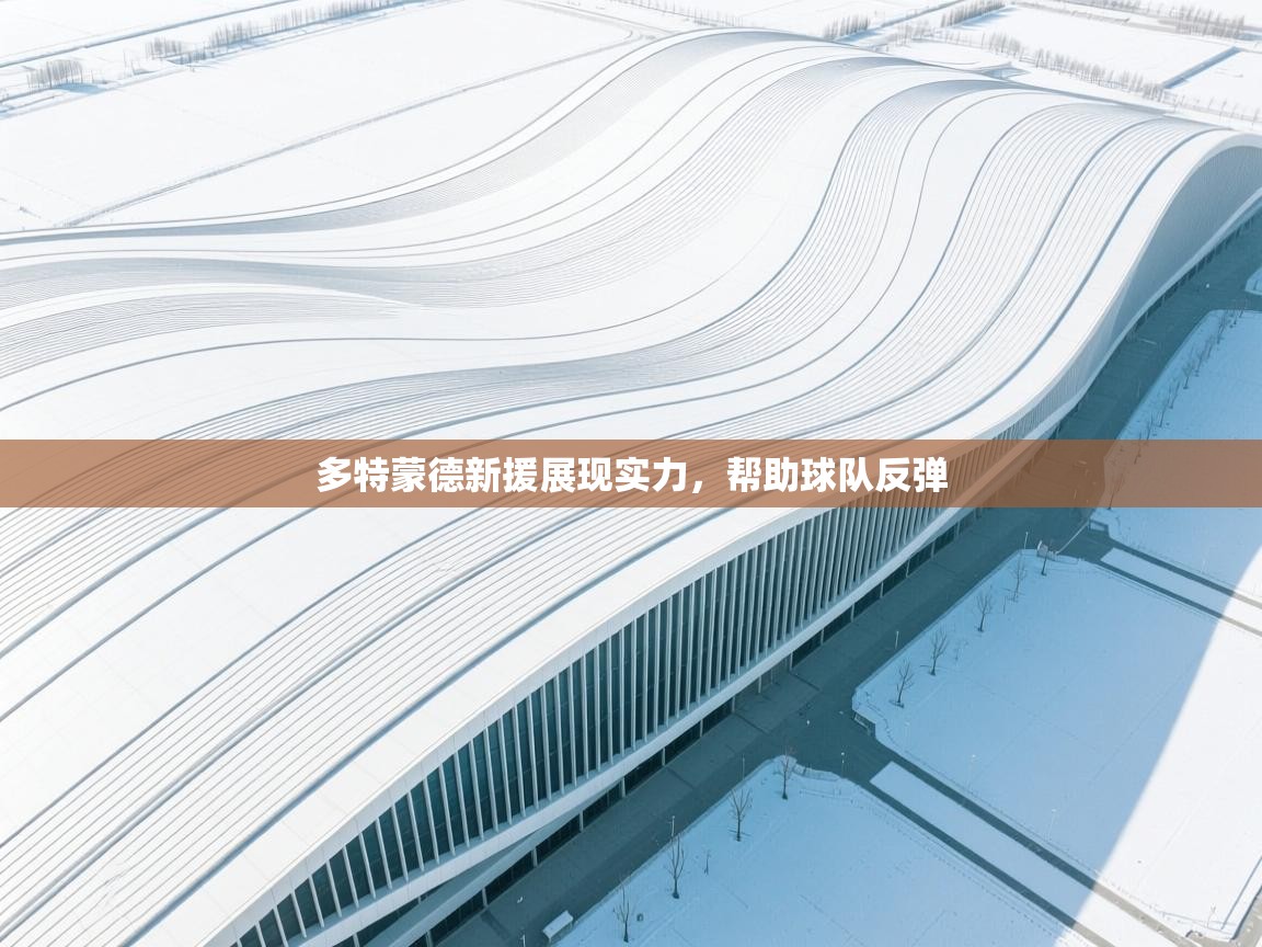 多特蒙德新援展现实力,帮助球队反弹 第2张